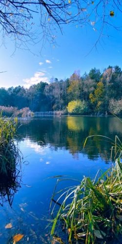 Einfamilienhaus Waldesruh-Hoppegarten Berlin | BB INVEST